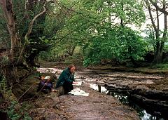 1974 UK Yorkshire Dales 026